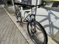 Specialized Rockhopper XL 29 2022