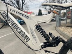 Dragomir Factory DH