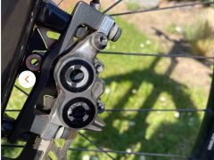 Custom YT Capra