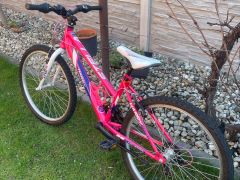 Dievčenský bycikel Harry Stella