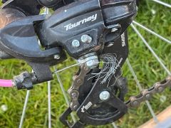 Dievčenský bycikel Harry Stella