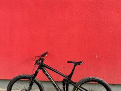 Trek Remedy 8 2020