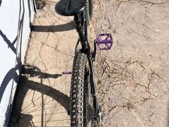 Dartmoor Blackbird 29 L 2022