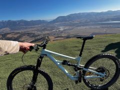 Specialized status 160 S3 mullet