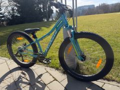 Specialized Riprock 24
