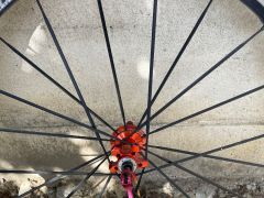 Mavic Ksyrium SL