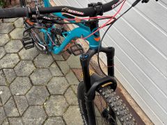 Kellys Swag 30 2019 L