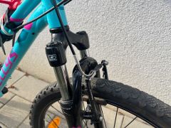 Predam Kellys Kiter 50