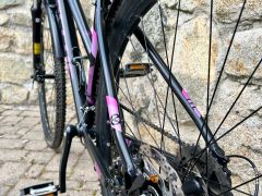 Kellys Pheebe 28 S/M