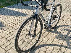 Specialized Allez Sport 2019 veľ. 56