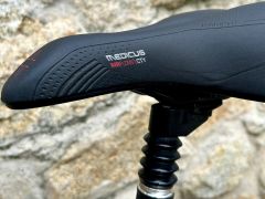 Kellys Pheebe 28 S/M