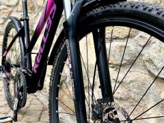 Kellys Pheebe 28 S/M