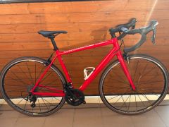 Canyon Endurace AL