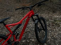 Specialized stund jumper