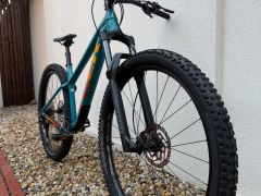 Trek Roscoe 7