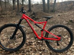 Specialized stund jumper