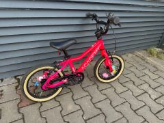 Academy Grade 2 Edition FUNtasy 14"