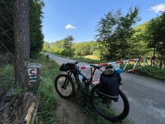 Canyon Spectral AL5 2017