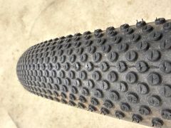 Schwalbe