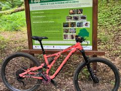 Specialized Stumpjumper alloy 2022 s4