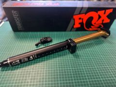 Fox neo