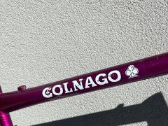 Colnago fialový rám MTB