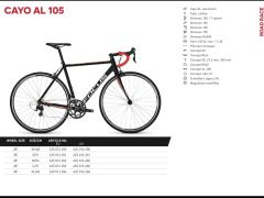 Focus Cayo 105 AL