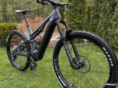 Canyon spectral on cf6 Carbon 1