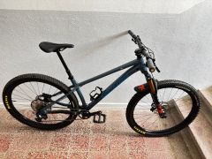 Santa Cruz Chameleon