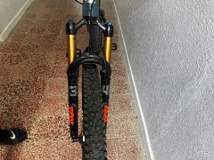 Santa Cruz Chameleon