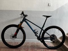 Santa Cruz Chameleon