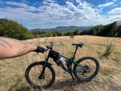 Canyon Spectral AL5 2017