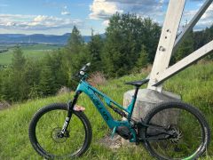Kellys Theos carbon