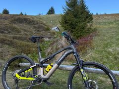 Haibike Lyke Cf11