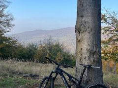 Specialized Turbo Levo Comp Carbon 2022