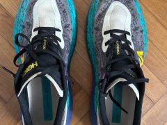 Hoka Speedgoat 6 vel 47