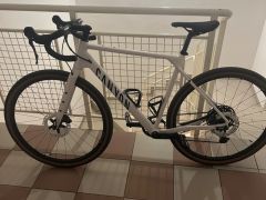 Canyon Grizl