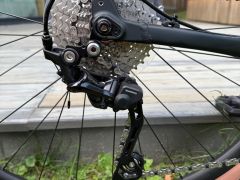 Begamont Grandurance 6