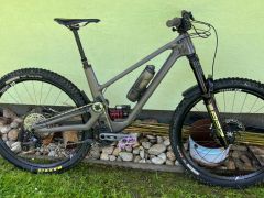 Forbidden Druid V1 L Mullet