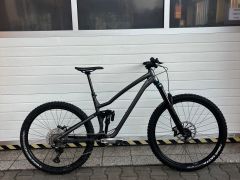 Dartmoor rockbird