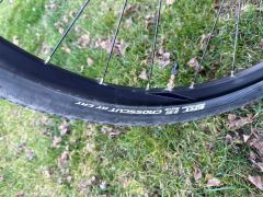 Giant Roam 1 Disc 2021