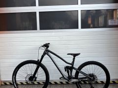 Dartmoor rockbird
