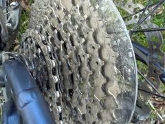 Giant Roam 1 Disc 2021