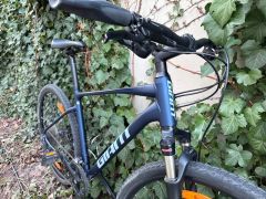 Giant Roam 1 Disc 2021