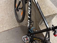 Kellys Spider 50