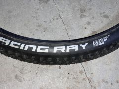 Schwalbe racing ray