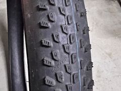 Schwalbe racing ray