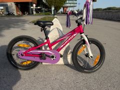 Specialized Hotrock 16