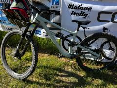 Specialized status 160 S3 mullet