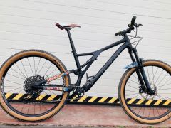 Specialized Stumpjumper / L
